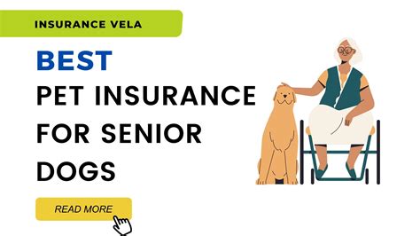 insurance for older pets